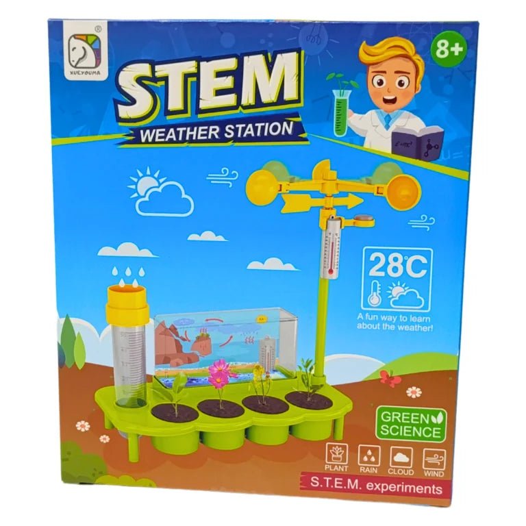 Juego de Ecología: Aprende y Cuida el Planeta - Martina Baby & Kids